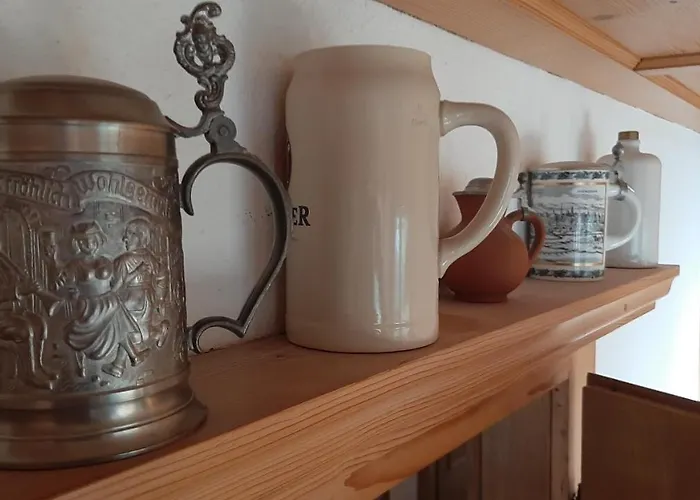 Fink 인스브루크